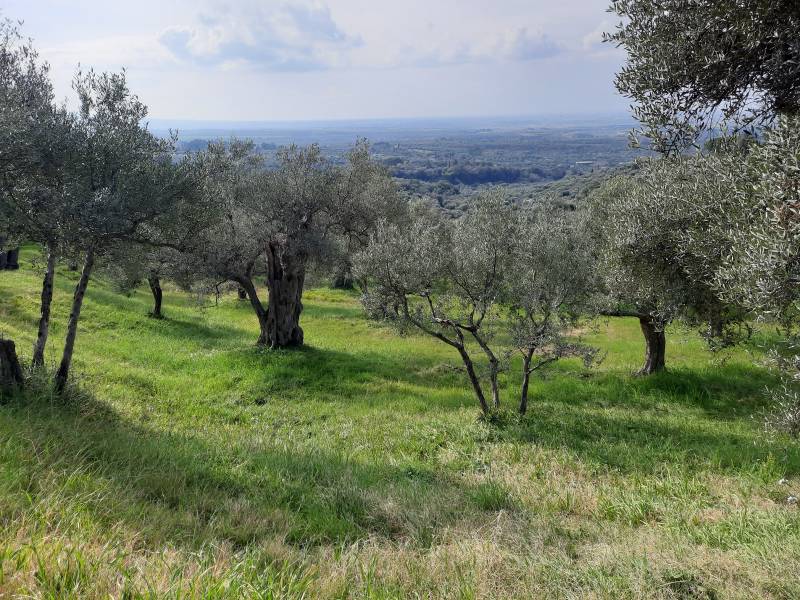 Terreno in vendita a tivoli - strada-di-pomata. Foto 7 di 146 